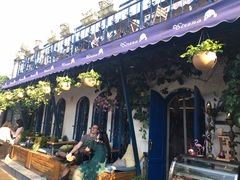 -Sirena海妖日咖夜酒