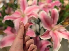-L'Arome芳芳法国餐厅(仙林金鹰店)