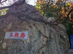 -阳台山自然风景区