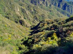 -大岭沟猕猴桃谷风景区