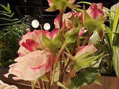 -半秋山西餐厅(巴南万达广场店)