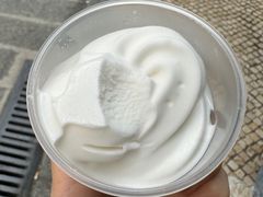 -洪馨椰子