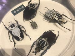 -陕西自然博物馆