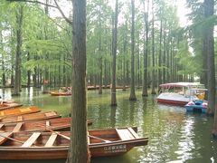 -渌洋湖湿地公园