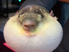 -永安鱼庄·镇江菜(东吴路店)