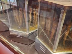 -一代烤翅王(大汉口店)