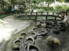 -成都市活水公园