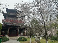 -堤角公园