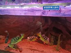 -蓬莱欧乐堡海洋极地世界