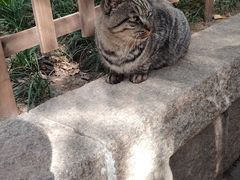 -西园戒幢律寺