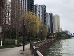 -运河游船(武林门码头)