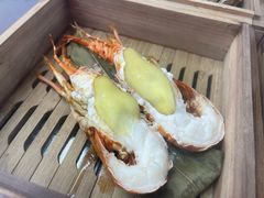 -扁头灯盏糕
