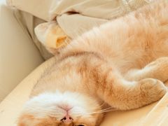 -俏贝拉(裕后街店)