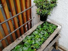 自助调料区-福苗小骆驼烧烤(莲湖路店)