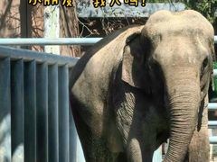 -动物园(地铁站)