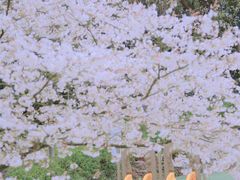 -杭州少年儿童公园