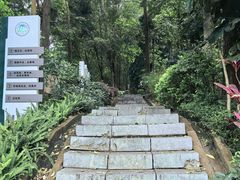 -火炉山森林公园