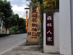 -铁山坪森林公园