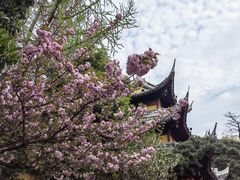 -龙华寺