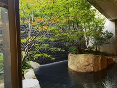 -茑屋书店(天目里店)