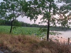 -仙山湖景区