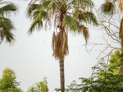 -维乐口腔医院(福清院)