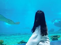 -福州罗源湾海洋世界旅游区