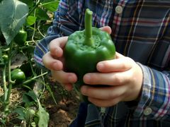 -万源龙顺度假庄园生态观光园