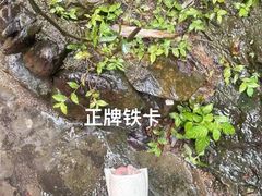 -古龙峡漂流