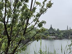 -无锡蠡湖国家湿地公园-蠡园