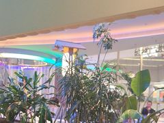-桂满陇·蟹黄小笼汤包(清河万象店)