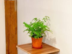 -屋裡·Union Bakery(龙江路店)