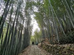 -会稽山峡洞漂流-上青古道