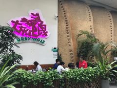 -大灰狼(中心书城店)