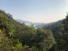 -广东温泉宾馆
