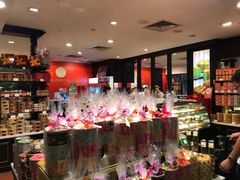 -Bengawan Solo(Changi Airport Terminal 2)