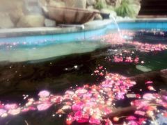 -宁海森林温泉