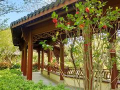 -杭州半山国家森林公园