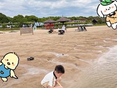 -碧海金沙