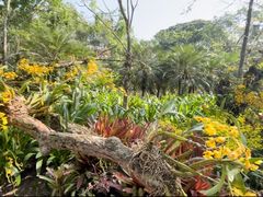 -中国科学院西双版纳热带植物园