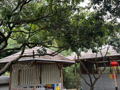 -满記土窑烧鷄波浪山莊