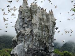 -千岛湖石林