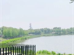 -尚贤河湿地