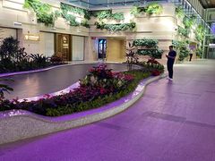 -贵阳龙洞堡国际机场-T2航站楼