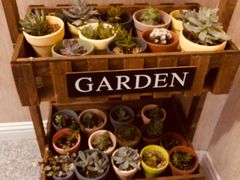 -沈阳李连贵熏肉大饼(兴城店)