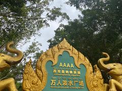 -西双版纳傣族园
