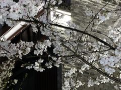 -紫阳古街