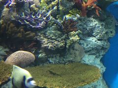 -福州罗源湾海洋世界旅游区