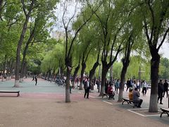 -二一九公园