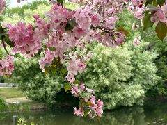 -沈阳植物园